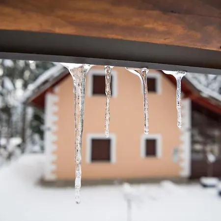 Casa Foresta * Mrkopalj